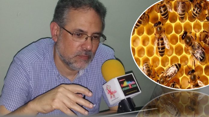 Experto. Alberto Flores. Foto composición: Marlon Castillo