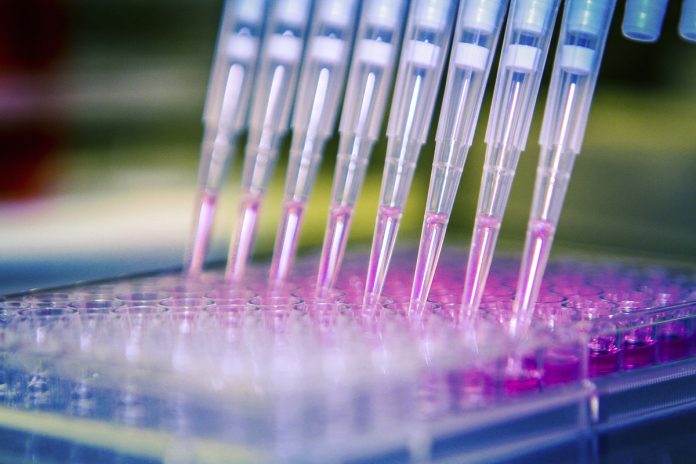 sector_biotecnologico