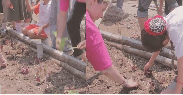 salud-escolares-comprometidos-con-la-buena-al-883284-235624-jpg_604x0