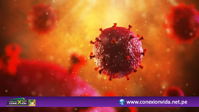 PLANTILLA ANUNCIOS CARABAYLLO