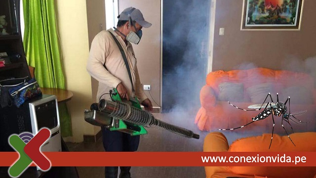 Dengue en el Perú - Fumigación - Conexión Vida Dengue en el Perú - Fumigación - Conexión Vida