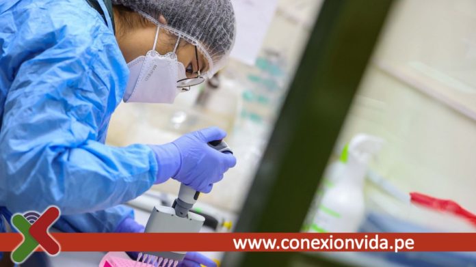 Viruela del Mono INS identificó un linaje peruano del virus