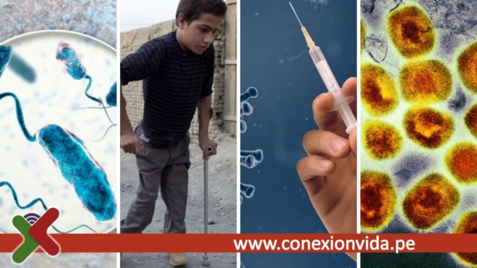 OPS advierte que cuatro emergencias sanitarias amenazan a América