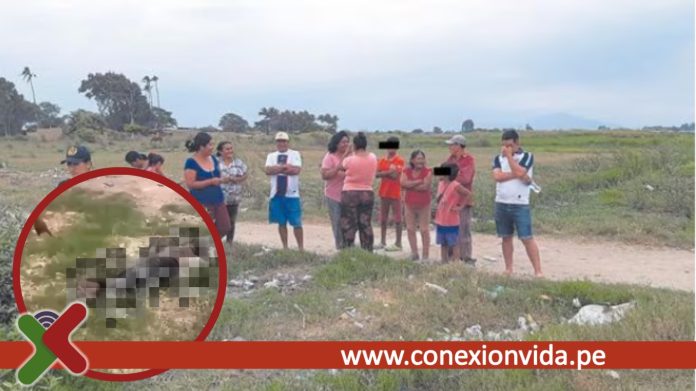 Lambayeque hallan cádaver de una mujer trans en fundo