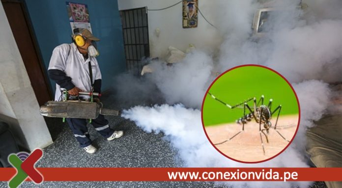 Alerta por incremento de dengue en Lima y Callao