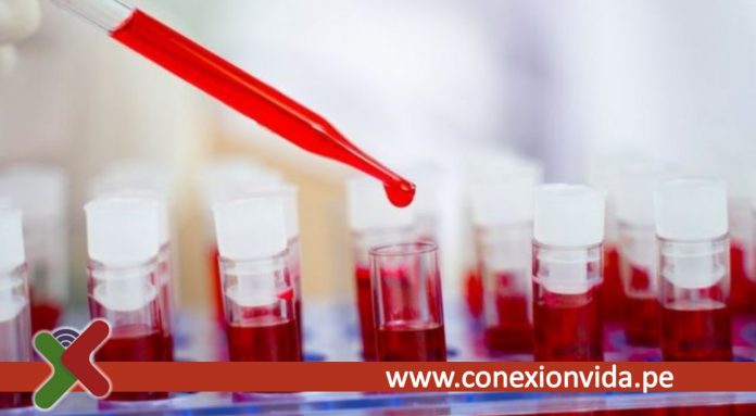 Con anticuerpos híbridos logran impedir la infección por el VIHS en macacos