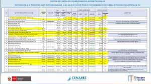 Captura de presentación del MINSA y CENARES en reunión virtual.