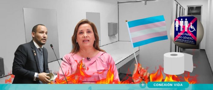 WhatsApp Image 2025-05-13 at 11.17.42 AM